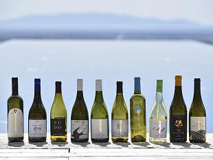 prosegue-il-progetto