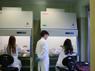 coronavirus-via-alla-prima-fase-dei-test-sierologici-in-toscana