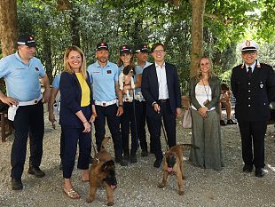 cani-antidroga-3-nuovi-arrivi-per-i-vigili-di-firenze