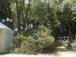 cascine-primo-atto-in-giunta-per-nascita-della-fondazione