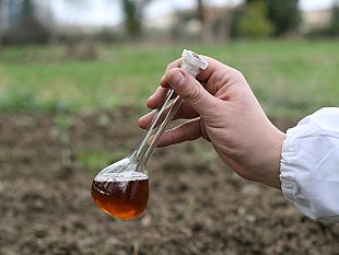 le-virtu-del-distillato-di-legno-per-aumentare-la-fertilita-del-terreno