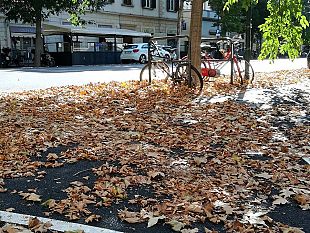 firenze-autunno-in-agosto-foglie-morte-e-tombini-ostruiti