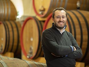 vino-prospettive-di-mercato-enoturismo-e-vendemmia-di-brunello-e-del-nobile
