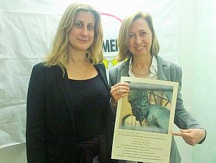 tutela-dei-beni-culturali-incontro-del-m5s-in-palazzo-vecchio