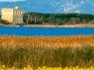 a801311508-zone-umide-la-giornata-mondiale-il-2-febbraio-nelle-oasi-wwf-in-toscana
