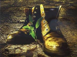 vitivinicolo-nel-sistema-di-reclutamento-della-manodopera-anche-organizzazioni-illegali