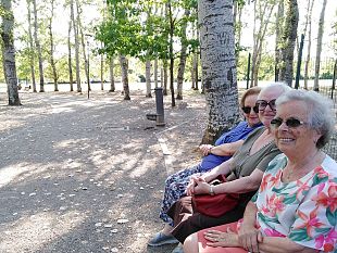 galluzzo-in-ansia-per-il-futuro-della-grande-pioppeta