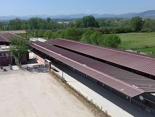 cooperativa-emilio-sereni-stalla-e-vitellaia-per-i-40-anni-dellazienda