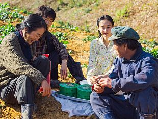 cinema-la-pellicola-beautiful-days-chiude-il-17-florence-korea-film-fest