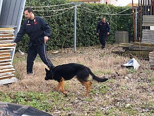 spaccia-eroina-ricavandone-2500-euro-al-giorno-preso-dai-carabinieri