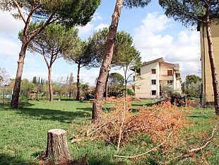 maltempo-riaprono-domani-i-giardini-di-via-f-da-montefeltro