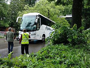 lungarno-crolla-albero-su-pullman-di-turisti-traffico-in-uscita-da-firenze