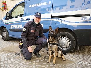 cascine-i-cani-antidroga-della-polizia-scovano-un-altro-mezzo-chilo-di-hashish