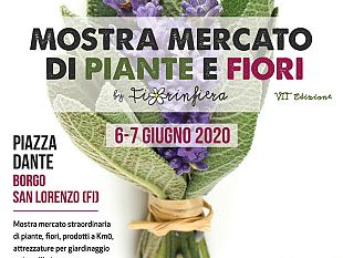 il-6-e-7-giugno-a-borgo-san-lorenzo-la-mostra-mercato-di-fiori-e-piante
