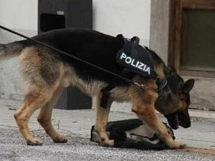 droga-nelle-scuole-di-firenze-ce-chi-dice-no