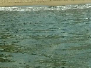 acqua-caldissima-in-mare-ecco-perche-il-lamma-spiega