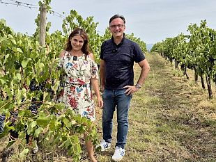 a-tavola-con-il-produttore-cortona-e-il-suo-syrah