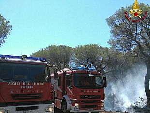 piombino-macchia-mediterranea-in-fiamme