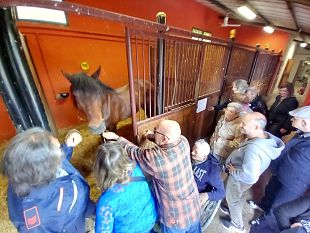 nonni-in-visita-alle-scuderie-della-polizia-municipale