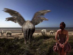 b303201322-seravezza-fotografia-2013-protagonista-bart-herreman