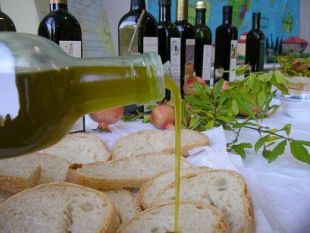a811271334-citta-dell-olio-in-toscana-tutto-pronto-per-i-pane-e-olio-in-frantoio--i