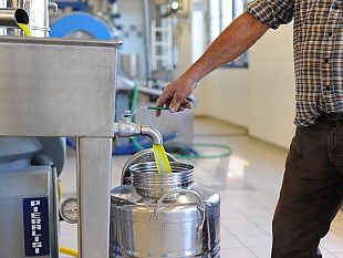 b311131344-festa-dell-olio-nuovo-nel-centro-storico-di-pontassieve