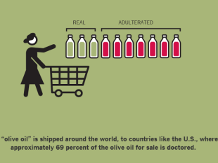 b401291919-il-times-attacca-l-olio-italiano-la-produzione-toscana-risponde