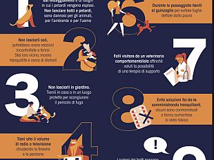 come-proteggere-gli-animali-dai-botti-di-capodanno