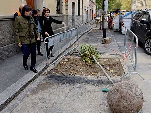 alberi-a-firenze-5-anni-di-investimenti-sul-patrimonio-verde