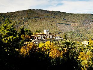 olio-e-toscano-il-miglior-extravergine-biologico-igp-ditalia