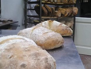 la-fierucola-del-pane-festeggia-40-anni-il-programma