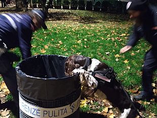 polizia-municipale-interventi-contro-lo-spaccio