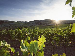 un-soggiorno-di-stile-nellincanto-delle-colline-toscane