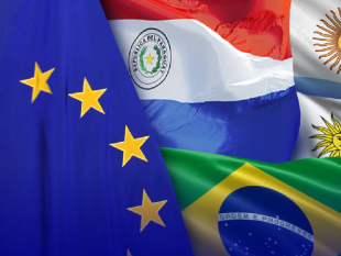 mercosur-il-parlamento-europeo-valuta-la-revisione-legale
