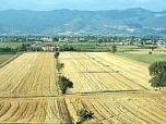 ottimismo-e-cautela-per-gli-agriturismi-toscani-in-vista-della-pasqua