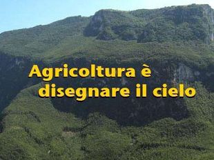 a802011447-libreria-editrice-fiorentina-la-pubblicazione-dell-ecologist-italiano