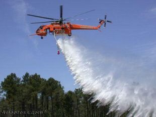 sovicille-bosco-in-fiamme