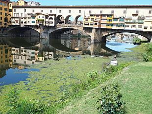 siccita-gli-alberi-perdono-le-foglie-le-alghe-conquistano-il-fiume