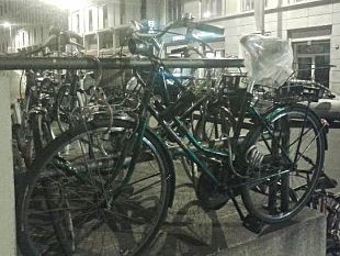 centro-storico-automobilista-fa-arrestare-ladro-di-biciclette
