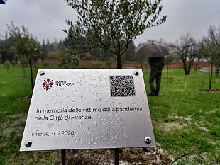 firenze-il-memoriale-del-covid-e-un-bosco-con-cipressi-e-ulivi