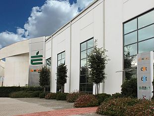 enegan-trader-di-gas-e-luce-nella-classifica-del-financial-times