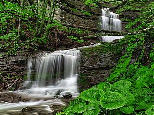 silvicoltura-in-toscana-bando-da-2-milioni-per-avviare-nuove-imprese