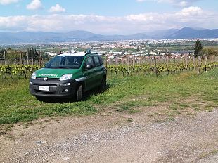 orti-e-serre-controllati-dai-carabinieri-analisi-di-laboratorio-sui-prodotti-coltivati