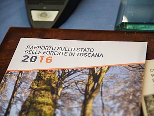 rapporto-sulle-foreste-in-un-volume-lo-stato-del-patrimonio-boschivo-toscano