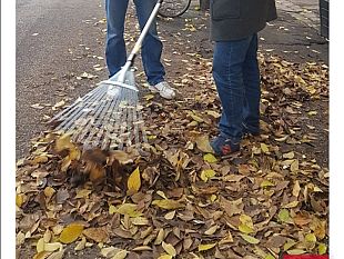 foglie-in-citta-il-periodo-del-pieno-sulle-strade