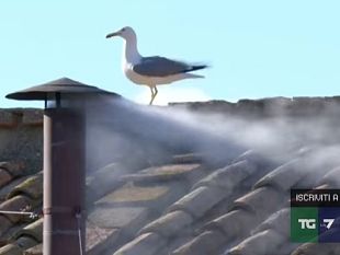 fumata-bianca-habemus-papam