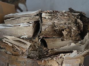 tornano-a-lucca-sanificati-i-libri-della-biblioteca-giordano