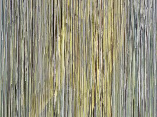 obscured-existence-palazzo-pitti