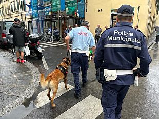 via-palazzolo-nel-mirino-della-polizia-municipale