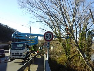 maltempo-allerta-gialla-per-vento-e-gelo